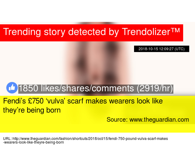 scarf that looks like a vag